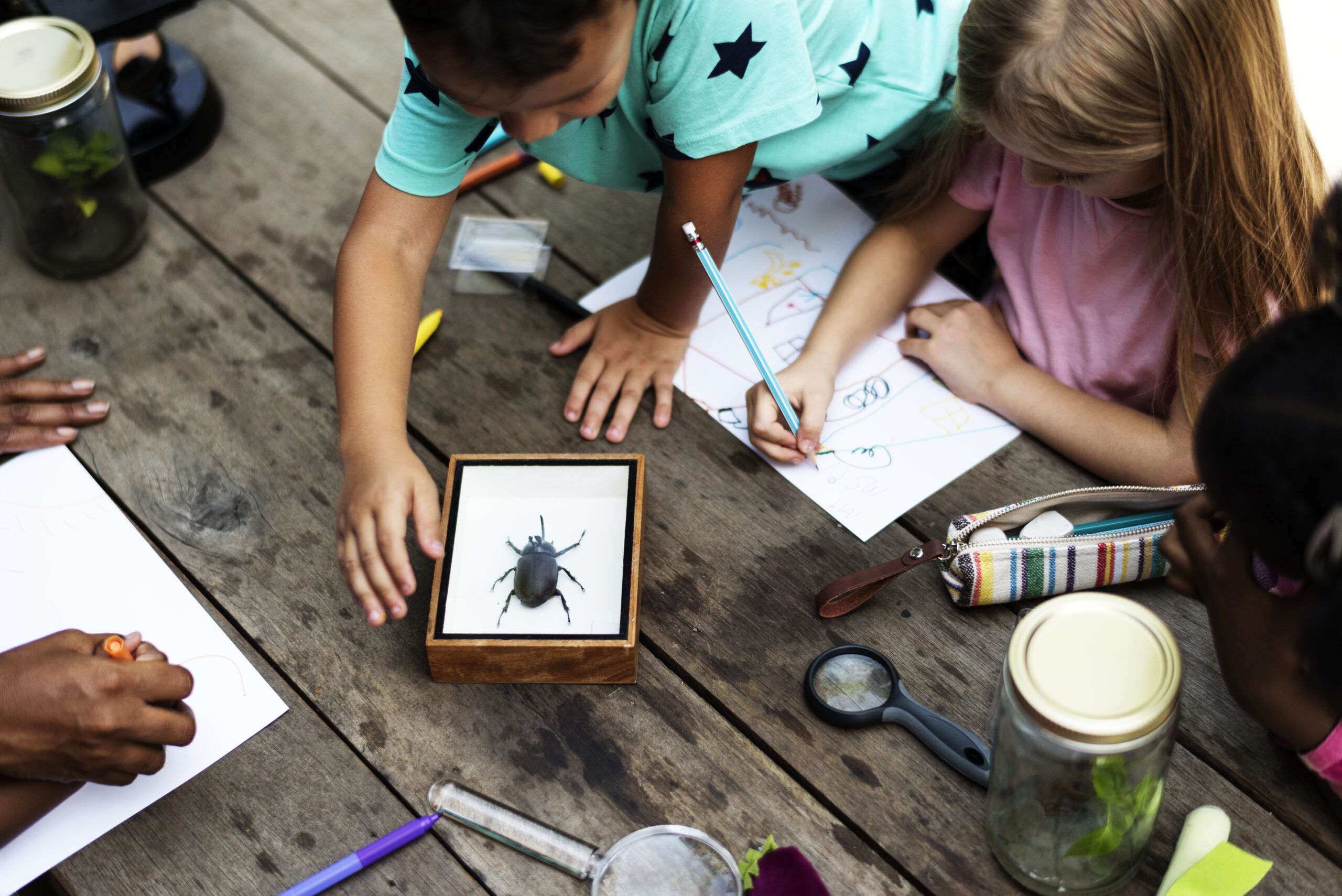 Why Experiential Learning Is Growing In Modern Education